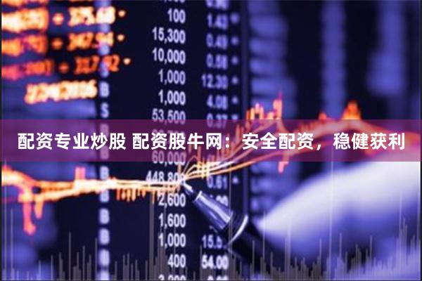 配资专业炒股 配资股牛网：安全配资，稳健获利