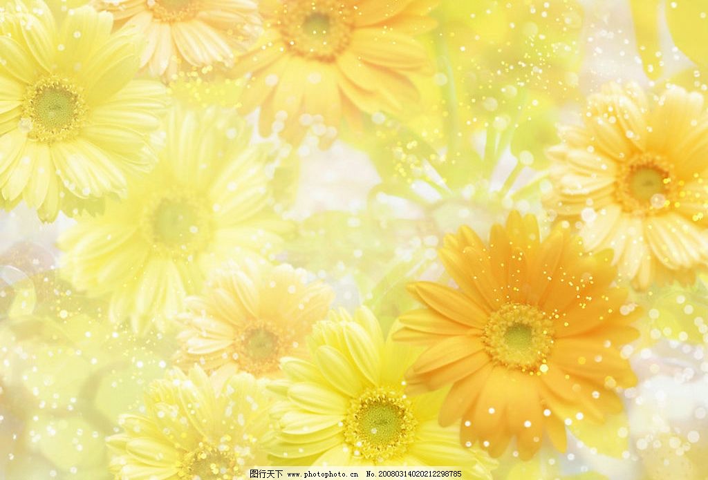 梦幻花卉背景图片