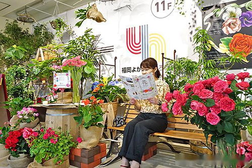 日本花卉需求低迷,多地积极促销,农林水产省公务员卖萌成网红 环球